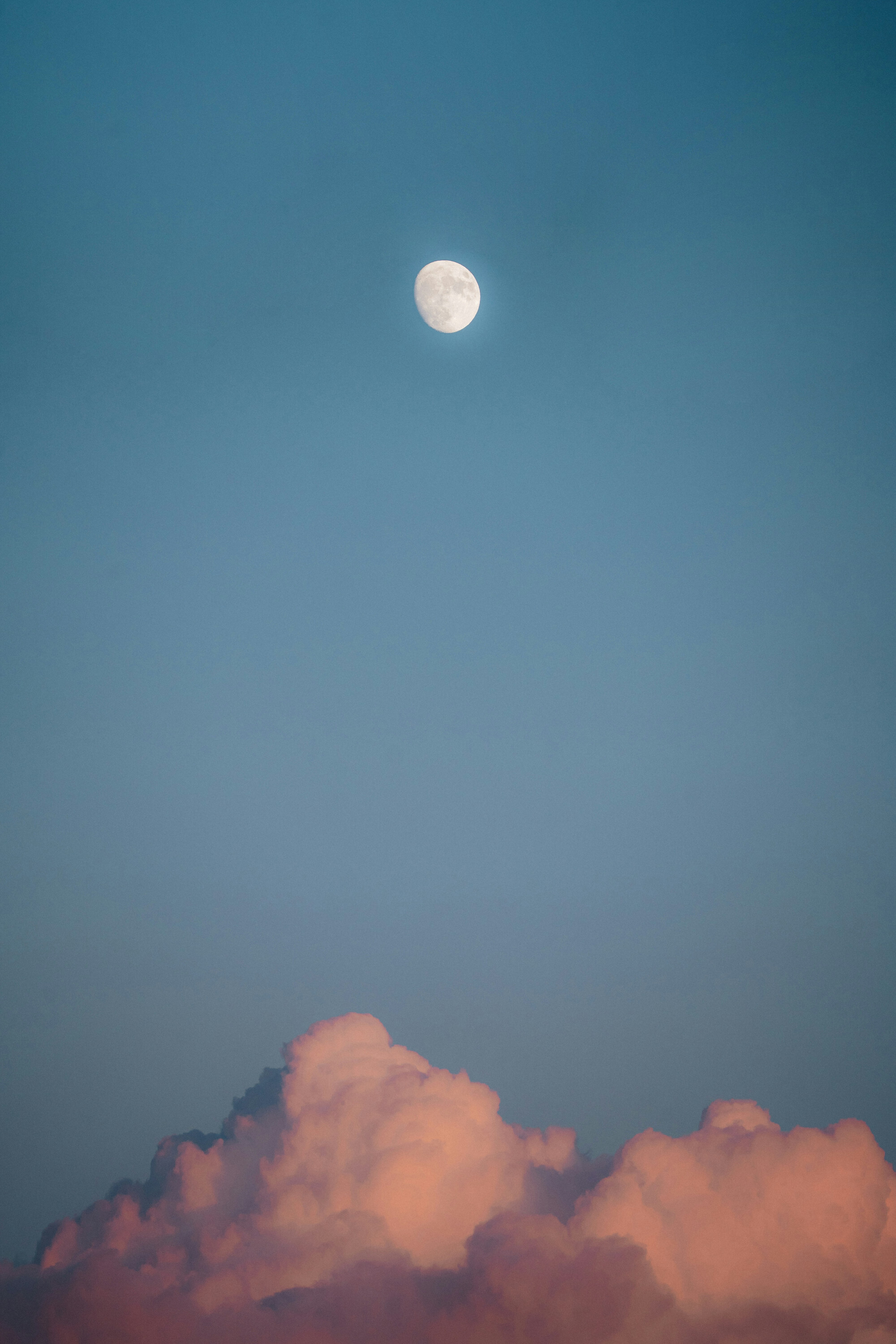 Mobile banner image 6